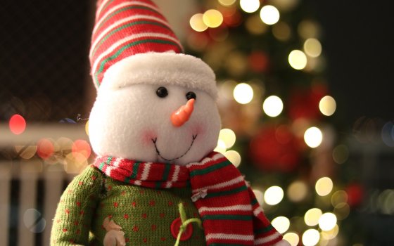4 января в рамках Рождественской ярмарки на городской площади пройдет конкурс снеговиков