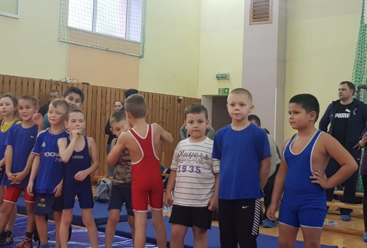 Гусевские борцы показали достойные результаты на областных соревнованиях в Нестерове