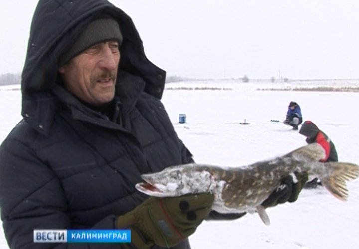 На востоке области любители зимней рыбалки активно выходят на лёд, который ещё не окреп