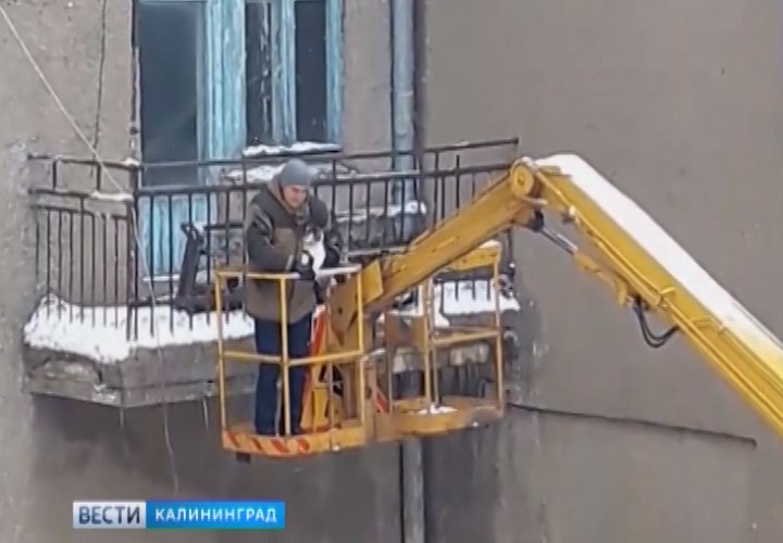 Репортаж «ГТРК «Калининград» о спасении уличного кота в Гусеве