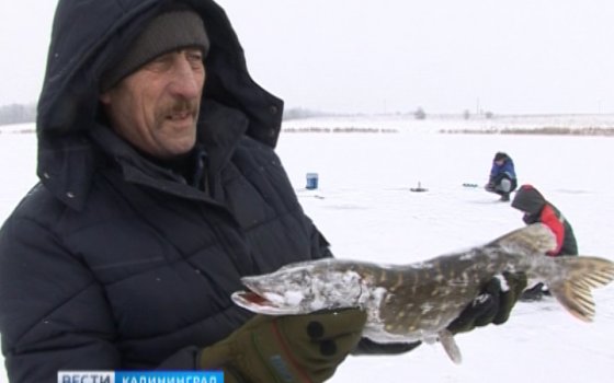 На востоке области любители зимней рыбалки активно выходят на лёд, который ещё не окреп