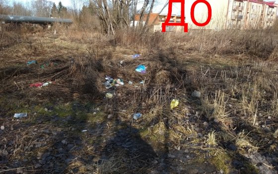 Городская администрация просит сообщать о несанкционированных свалках мусора