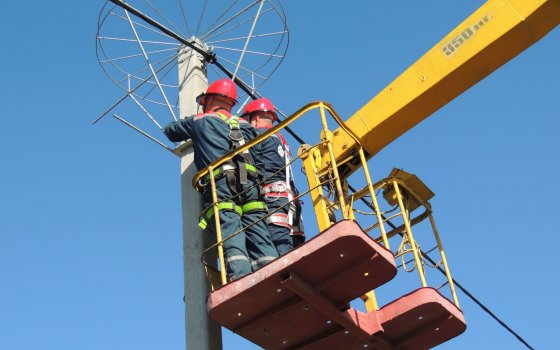 В Гусевском районе энергетики установили платформу для гнёзд аистов
