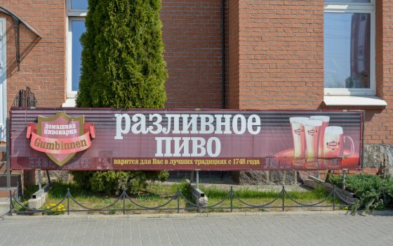 Пиво «Гумбиннен» у Константиновны