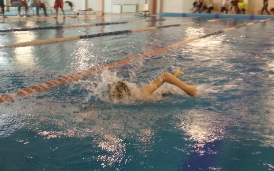 В Гусеве прошли соревнования по плаванию, посвященные Дню города