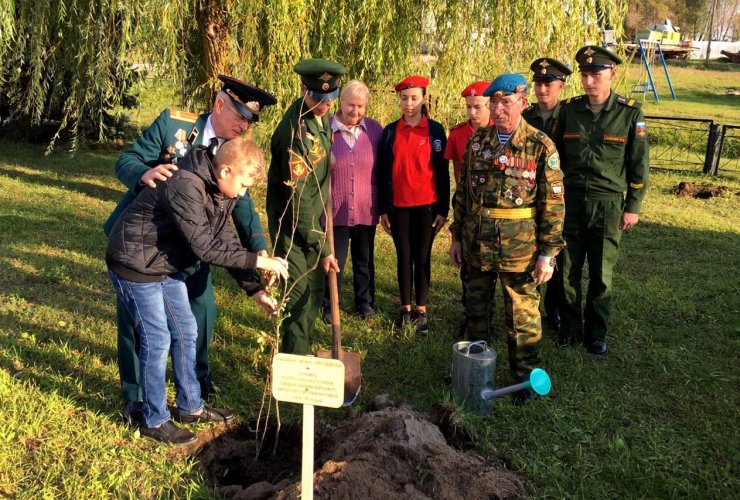 Город Гусев присоединился к всенародной акции «Лес победы»