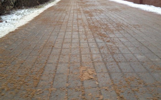 В Гусеве не будут использовать песко-соляную смесь для посыпки тротуаров