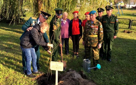 Город Гусев присоединился к всенародной акции «Лес победы»