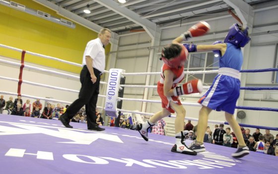 В Гусеве стартовали областные соревнования по боксу среди учащихся образовательных организаций