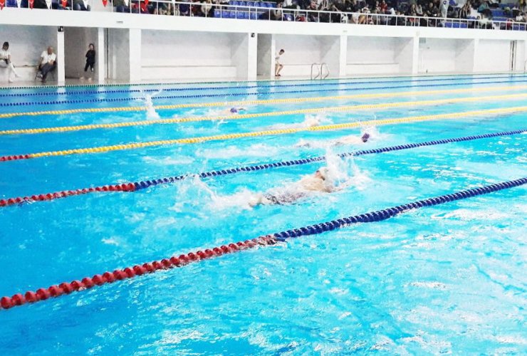 Гусевские пловцы показали хорошие результаты на зимнем областном чемпионате