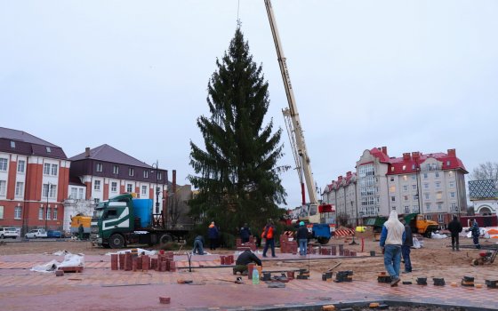 На центральной площади Гусева установили новогоднюю ёлку