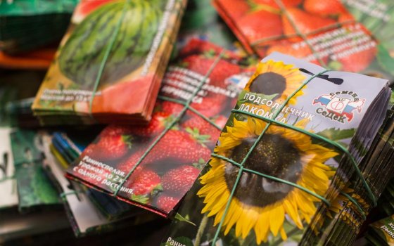 Магазин «Апрель» предлагает большой выбор семян