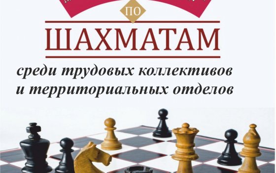 29 февраля в Гусеве пройдёт муниципальная спартакиада по шахматам