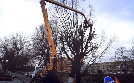 Сотрудники МБУ «Чистота» приступили к плановой обрезке деревьев в городе