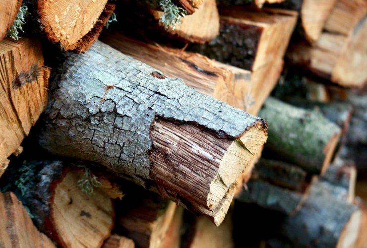Информация для жителей Гусевского округа пенсионного возраста о заготовке древесины для отопления