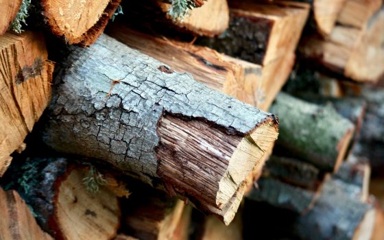 Информация для жителей Гусевского округа пенсионного возраста о заготовке древесины для отопления
