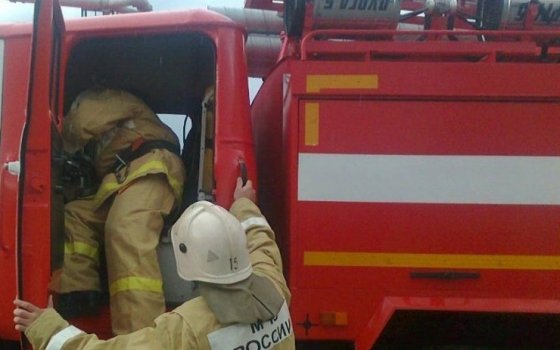 В Липово пожарные потушили горевшие лесозаготовки