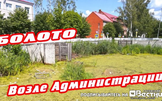 Жители дома №9 по улице Красноармейской жалуются на вонь из болота с заброшенной стройки