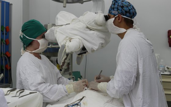 Ребёнку из Гусева провели операцию по новой методике в областной больнице