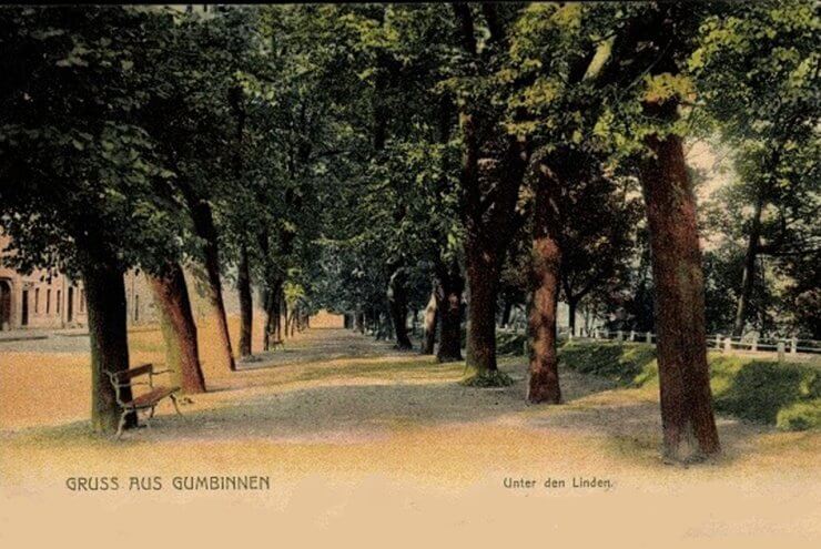 Линденштрассе — Гинденбургштрассе, променад (напротив домов 8-10 на улице Зои Космодемьянской). 1890–1900 годы