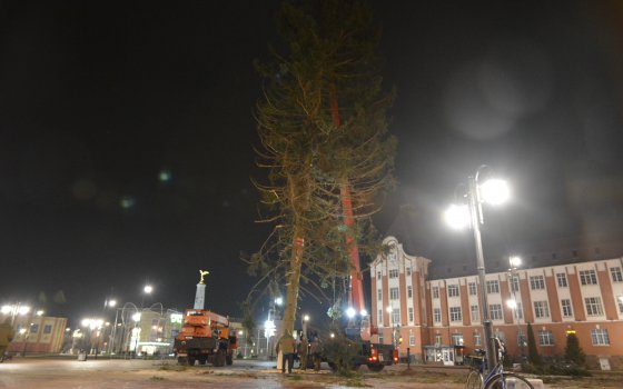 На центральной площади города Гусева установили новогоднюю ёлку