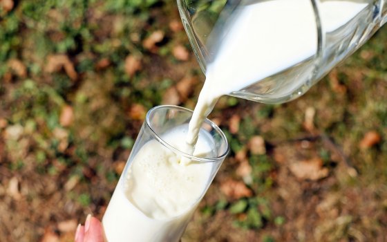 Роспотребнадзор проводит горячую линию по вопросам качества молочной продукции
