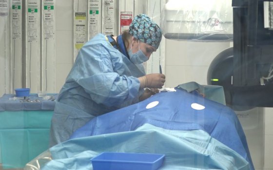 «Здесь мы нужны»: cупруги-хирурги переехали в Гусев, чтобы работать в сердечно-сосудистом центре