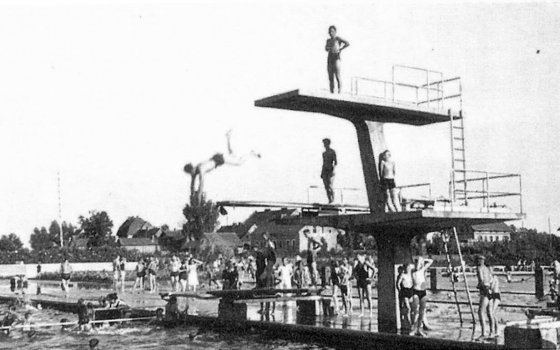 Винфрид Махраун — призер чемпионата Европы 1934 года по прыжкам в воду