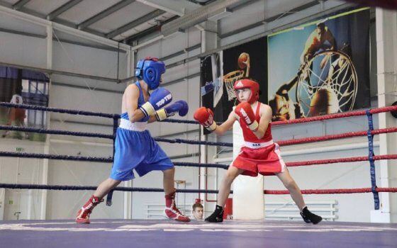 В Гусеве стартовали областные соревнования по боксу