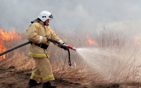 1 июля в ГРЭСовском лесу пройдут учения по тушению пожара лесного массива