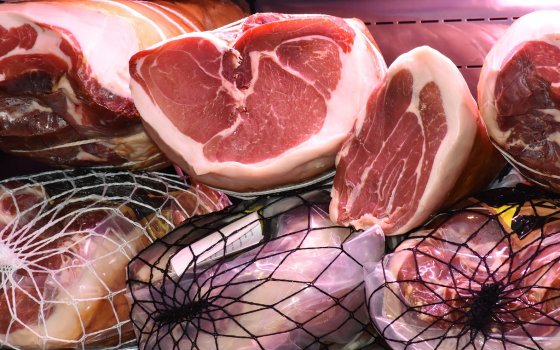 Роспотребнадзор проводит «горячую линию» по вопросам качества мясной и рыбной продукции