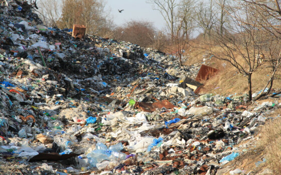Гусевских «мусорщиков» передадут на региональный уровень