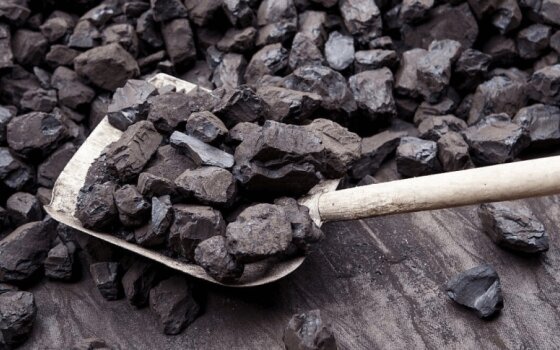 Александр Китаев поручил в следующем году заранее приобрести уголь для нужд населения