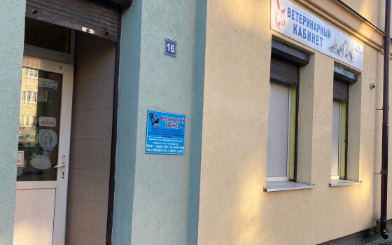 Предприниматель из Гусева открыла ветеринарный кабинет в Черняховске