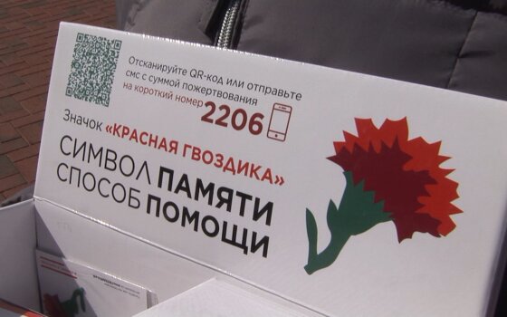 Как в Гусеве проводят всероссийскую акцию помощи ветеранам «Красная гвоздика»