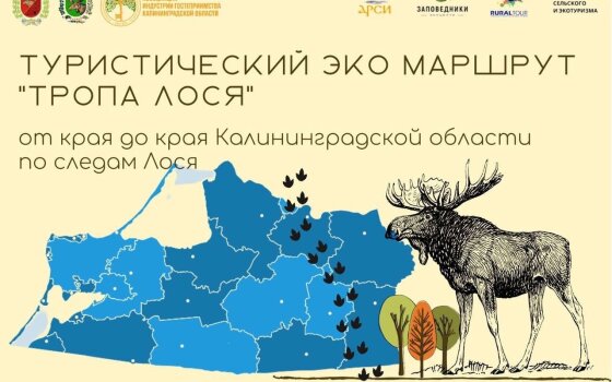 Гусевцев просят поддержать проект нового туристического маршрута «Тропа Лося»
