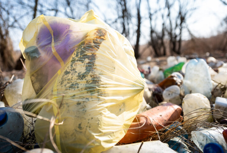 На рекультивацию мусорной свалки в Гусеве выделяют 237 миллионов рублей