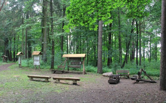 4 августа в ГРЭСовском лесу пройдёт сбор добровольцев для обустройства дорожки