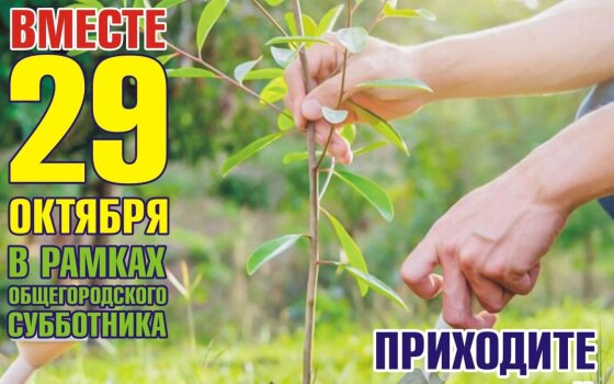 29 октября в рамках общегородского субботника каждый желающий сможет посадить дерево