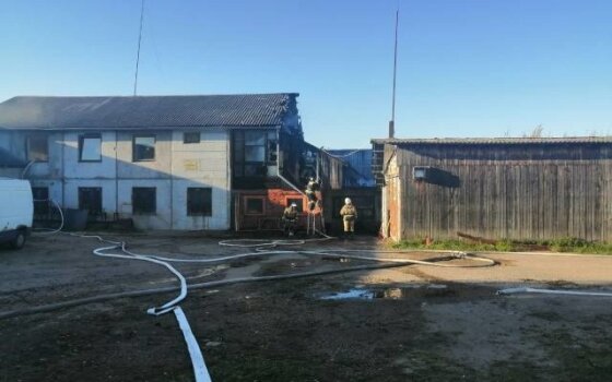 В Липово произошёл пожар в цеху по обработке древесины