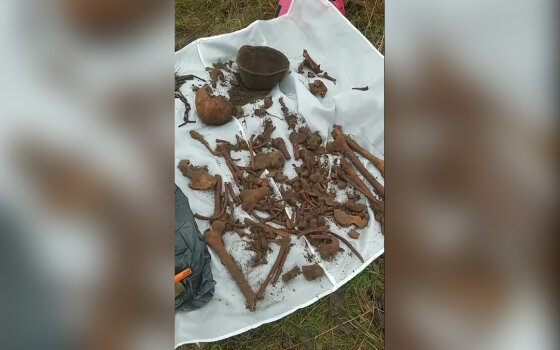 На территории Гусевского округа найдены останки солдата времён Великой Отечественной войны