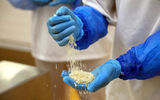 В Гусеве построят завод по производству панировочных сухарей для полуфабрикатов
