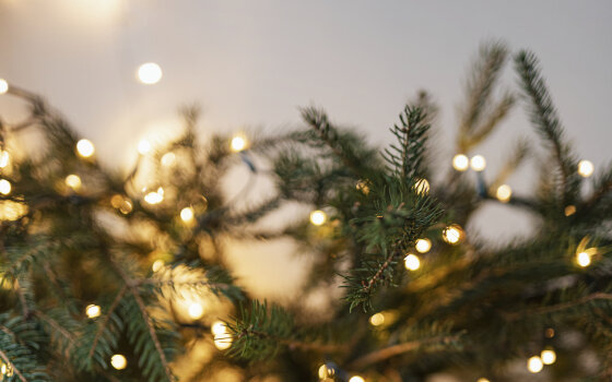 23 декабря Дед Мороз и Снегурочка зажгут разноцветные огоньки на главной ёлке