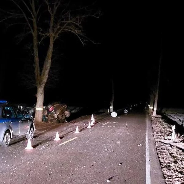 Под Гусевом автомобиль «БМВ» врезался в придорожное дерево, погиб 21-летний водитель
