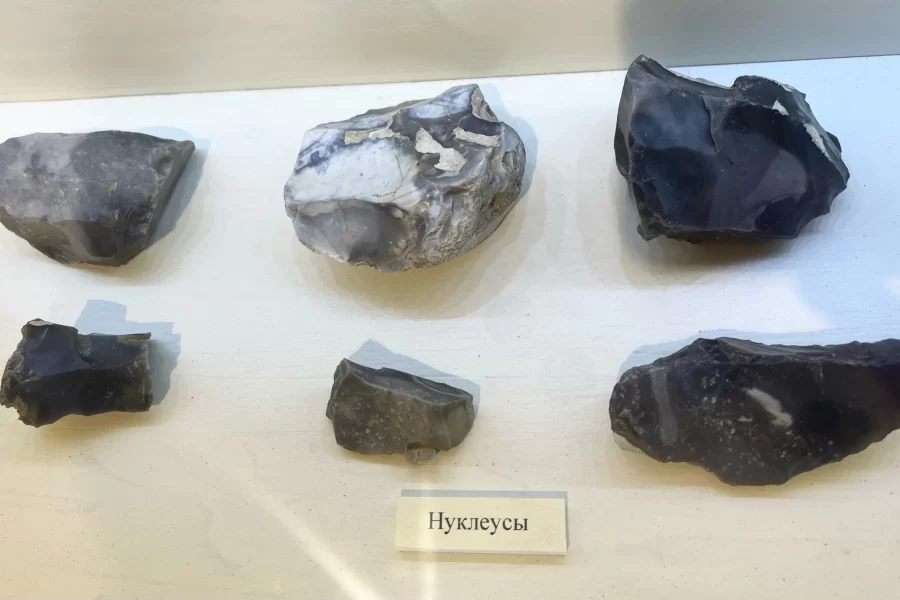 «История одного предмета»: осколки камней на первичной стадии производства орудий в древности
