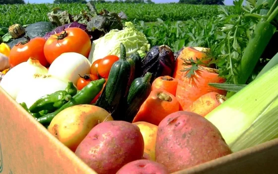 В текущем году Гусев получит 40 млн рублей на поддержку сельского хозяйства