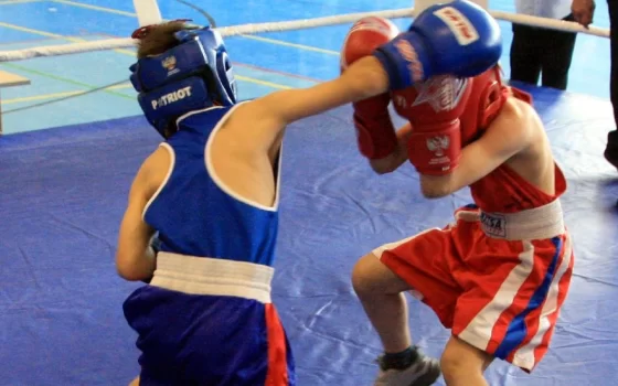 В Гусеве стартовал традиционный турнир по боксу, памяти погибших боксёров в зоне СВО