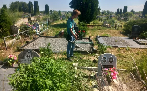 Сотрудники МБУ «Чистота» отчитались об уборке городского кладбища