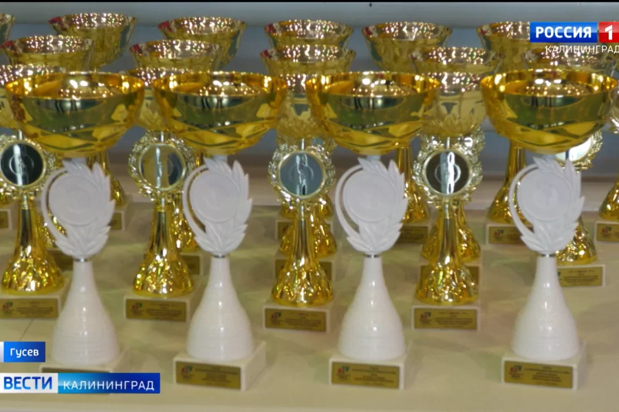 Кубок области по смешанному боевому единоборству в Гусеве посвятили памяти героя СВО