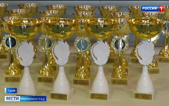 Кубок области по смешанному боевому единоборству в Гусеве посвятили памяти героя СВО